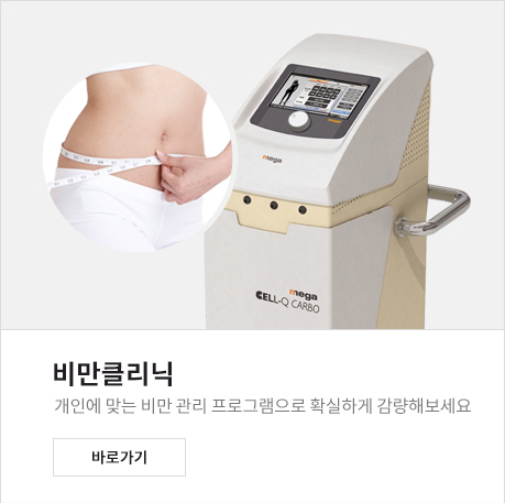 DIETECLINIC PROGRAM - 비만클리닉_개인에 맞는 비만 관리 프로그램으로 확실하게 감량해보세요